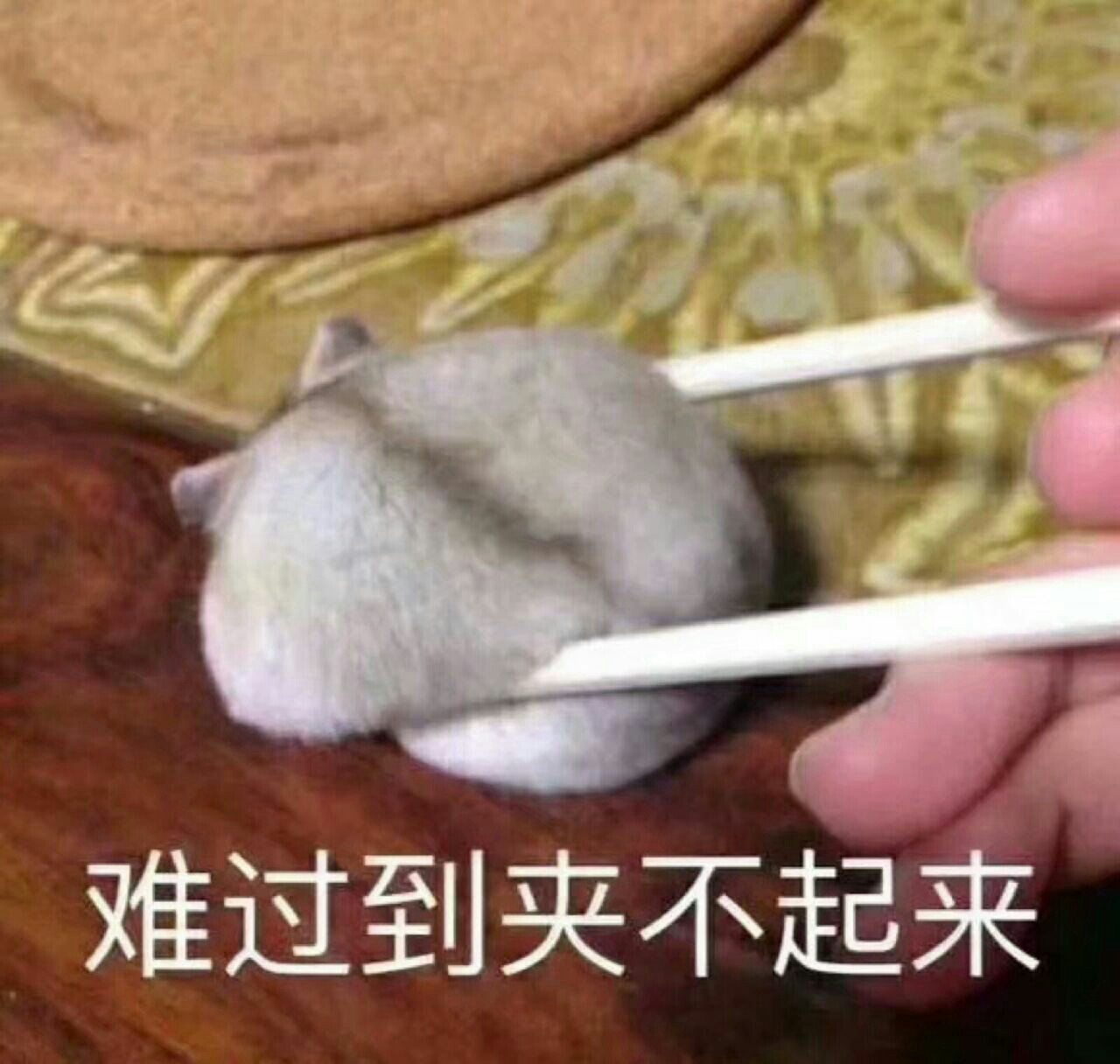 澳门新葡澳京