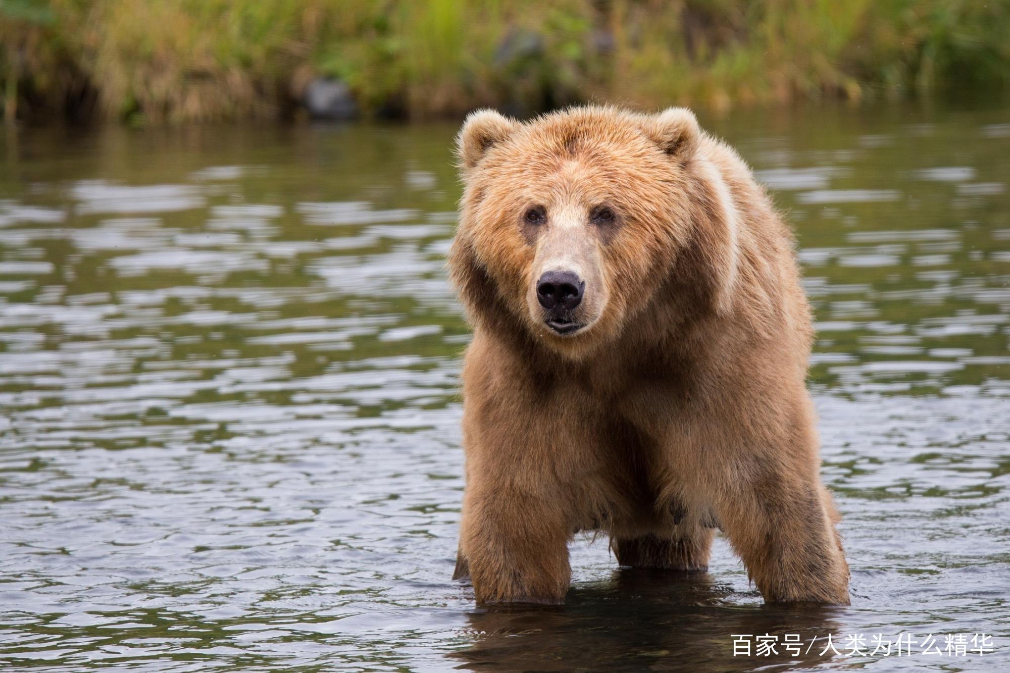 澳门新葡澳京-江西：今年正式启动中青年名中医研修培养计划